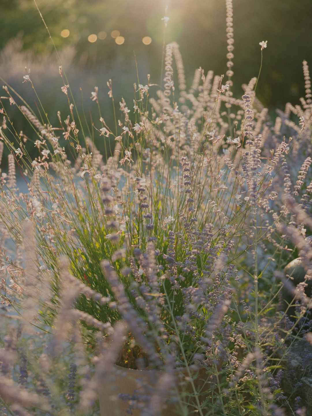 Wedding reception table settings in Provence, France